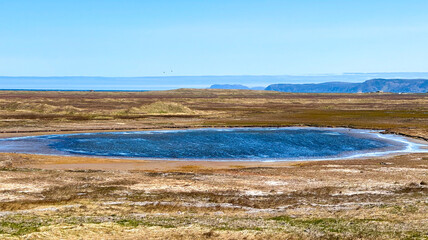 Miquelon, island of Saint-Pierre and Miquelon in France, a french island of North America (Saint-Pierre-et-Miquelon)