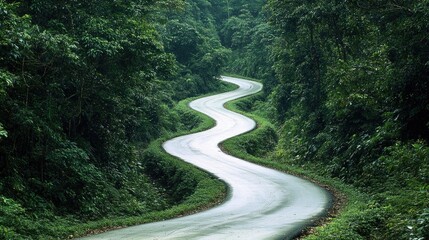 Fototapeta premium Winding road through dense forest, perfect for outdoor adventure or travel photography