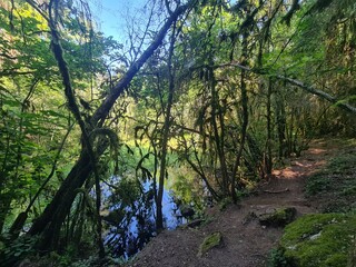 Sources du Durzon au pied du causse du Larzac