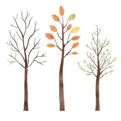 A colorful illustration of three trees in different stages of leaf growth, showcasing a seasonal transition from bare to leafy branches.