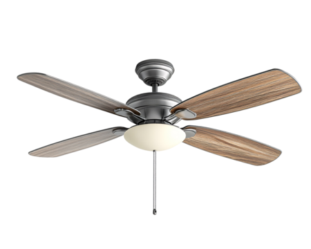 a ceiling fan with a light and a fan