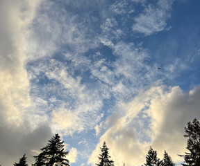 Fototapeta premium clouds in the sky