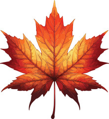 Fototapeta premium autumn leaves