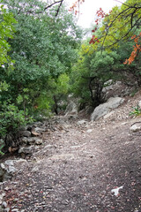 Majestic Djebel Zaghouan: Tunisia's Stunning Mountain