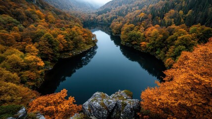 A serene and tranquil autumn scene featuring a reflective lake surrounded by dense forests of vibrant fall foliage, capturing nature's beauty and tranquility.