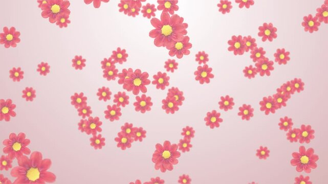 Yellow and red flower blooming in spring animation spinning and falling down. beautiful Concert Decoration. Fabulous, buds and bouquets colorful flow on background for 4k advertising, wedding festive