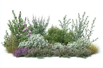 Trees and shrubs Home Garden Decoration on transparent background
