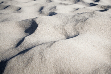 dry sand on the beach