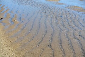 Sand Waves