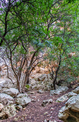 Majestic Djebel Zaghouan: Tunisia's Stunning Mountain