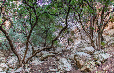 Majestic Djebel Zaghouan: Tunisia's Stunning Mountain