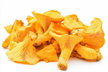 Fresh Chanterelle Mushrooms on a White Background