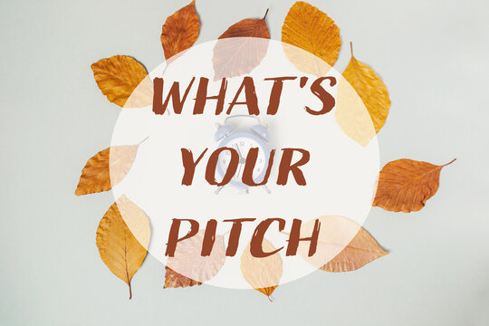 Circle of leaves with the words Whats Your Pitch written in the center - Powered by Adobe