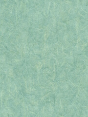 Handmade sheet in shades of green. Kraft paper with bio mass with small plants and petals. Seamless background best for eco projects. 