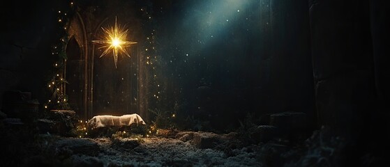 Fototapeta premium Baby Jesus in manger scene with star.