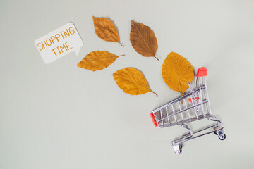 Shopping cart is on a table with leaves and a sign that says shopping time