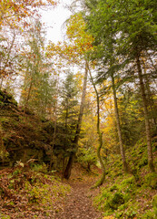 Marchensee im Schwäbischen Wald. Ein schmaler Pfad, gesäumt von totem Laub zwischen den Felsen des Steinbruchs und hohen Bäumen in Herbstfarben