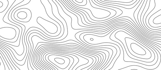  Abstract white wave paper curved reliefs background design. The black on white contours topography stylized relief diagram line wave carve pattern background.