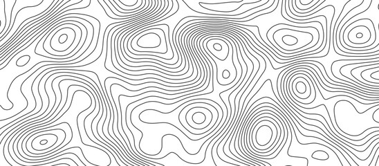 Obraz premium Abstract white wave paper curved reliefs background design. The black on white contours topography stylized relief diagram line wave carve pattern background.