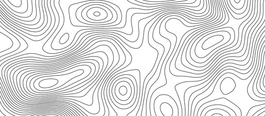  Abstract white wave paper curved reliefs background design. The black on white contours topography stylized relief diagram line wave carve pattern background.