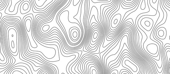  Abstract white wave paper curved reliefs background design. The black on white contours topography stylized relief diagram line wave carve pattern background.