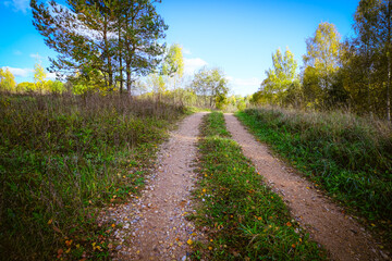 Fototapeta premium Grass-Lined Dirt Road in Autumn Countryside