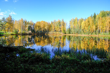 Autumn Forest Reflected in Calm Lake