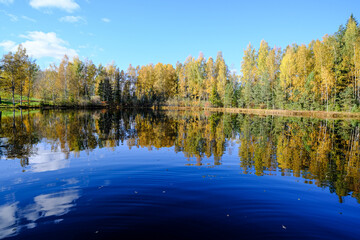 Golden Autumn Forest Reflecting in Lake