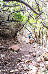 Majestic Djebel Zaghouan: Tunisia's Stunning Mountain