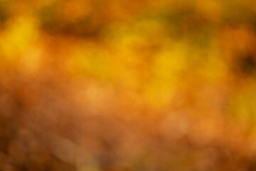 Abstract yellow brown spotted blurred pattern