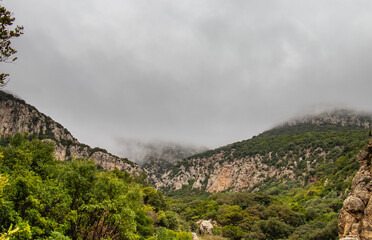 Majestic Djebel Zaghouan: Tunisia's Stunning Mountain
