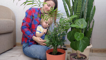 Obraz premium A young mother and her daughter watering potted houseplants, motherhood and fulfillment through shared leisure