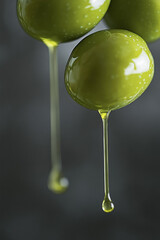 Olive and Oil. Liquid Gold of Mediterranean. Traditional Olive Oil. Healthy Food. PNG Transparent.