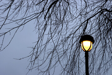 Black lamppost is lighting in the dark on a winter night, with bare tree branches in the background 
