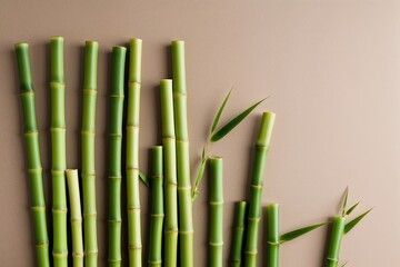 Fototapeta premium Vibrant Green Bamboo Stalks Showcased Against a Neutral Background