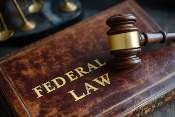 Understanding federal law and its implications in the legal system