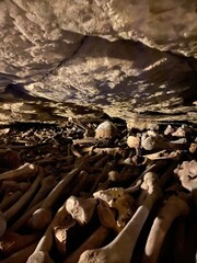 Paris Catacombs & Bones