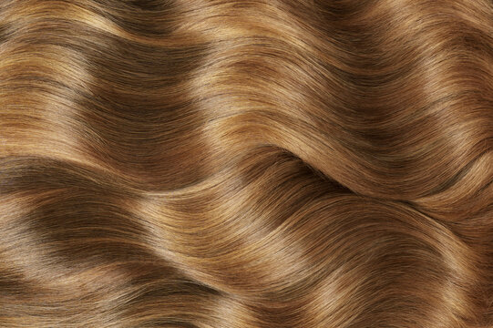 Close-up of curls and frizzy shiny blonde hair . Hair colorind or shades