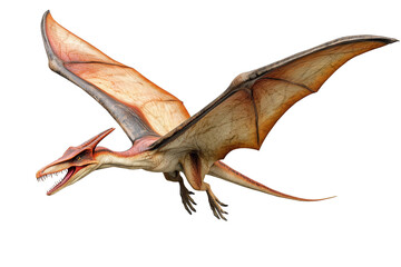 Pteranodon, a reptile that lived during the Late Cretaceous period.