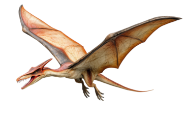 Pteranodon, a reptile that lived during the Late Cretaceous period.