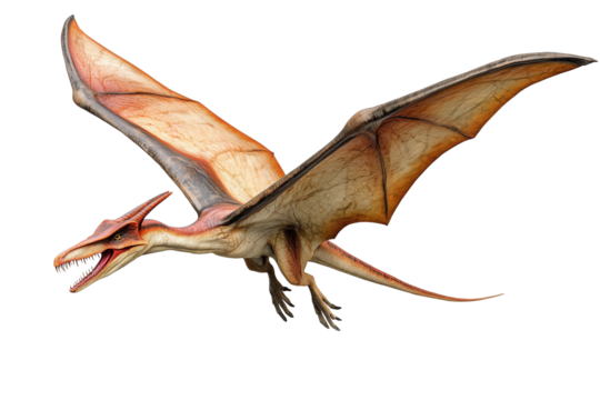 Pteranodon, a reptile that lived during the Late Cretaceous period.