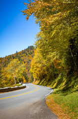 Blue Ridge parkway curved road surrounded by autumn color