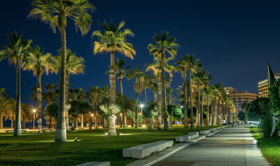 Obraz premium palm tree alley night at beautiful coastal town, tropical city illuminated street at evening