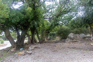 Majestic Djebel Zaghouan: Tunisia's Stunning Mountain