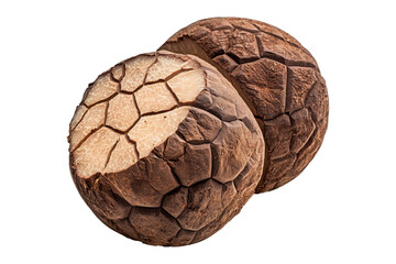 Obraz premium Fresh black winter truffles isolated on white transparent background, great for culinary and gourmet themes.