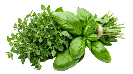A bunch of fresh herbs such as basil or parsley tied together isolated on a transparent background, PNG