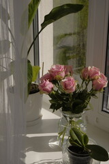 pink roses in a vase