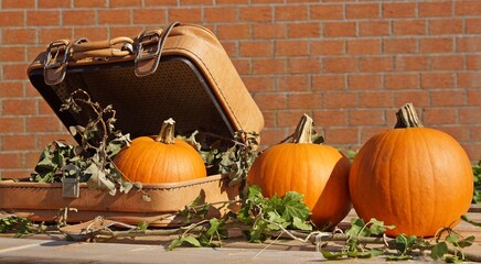 künstlerisch gestaltetes Herbstbild mit Kürbissen