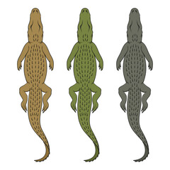 Set of color illustrations with swimming crocodile. Isolated vector objects on white background.