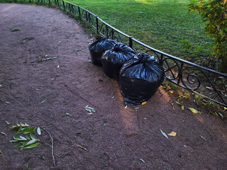 There are black garbage bags near the wrought-iron fence. cleaning in the garden.